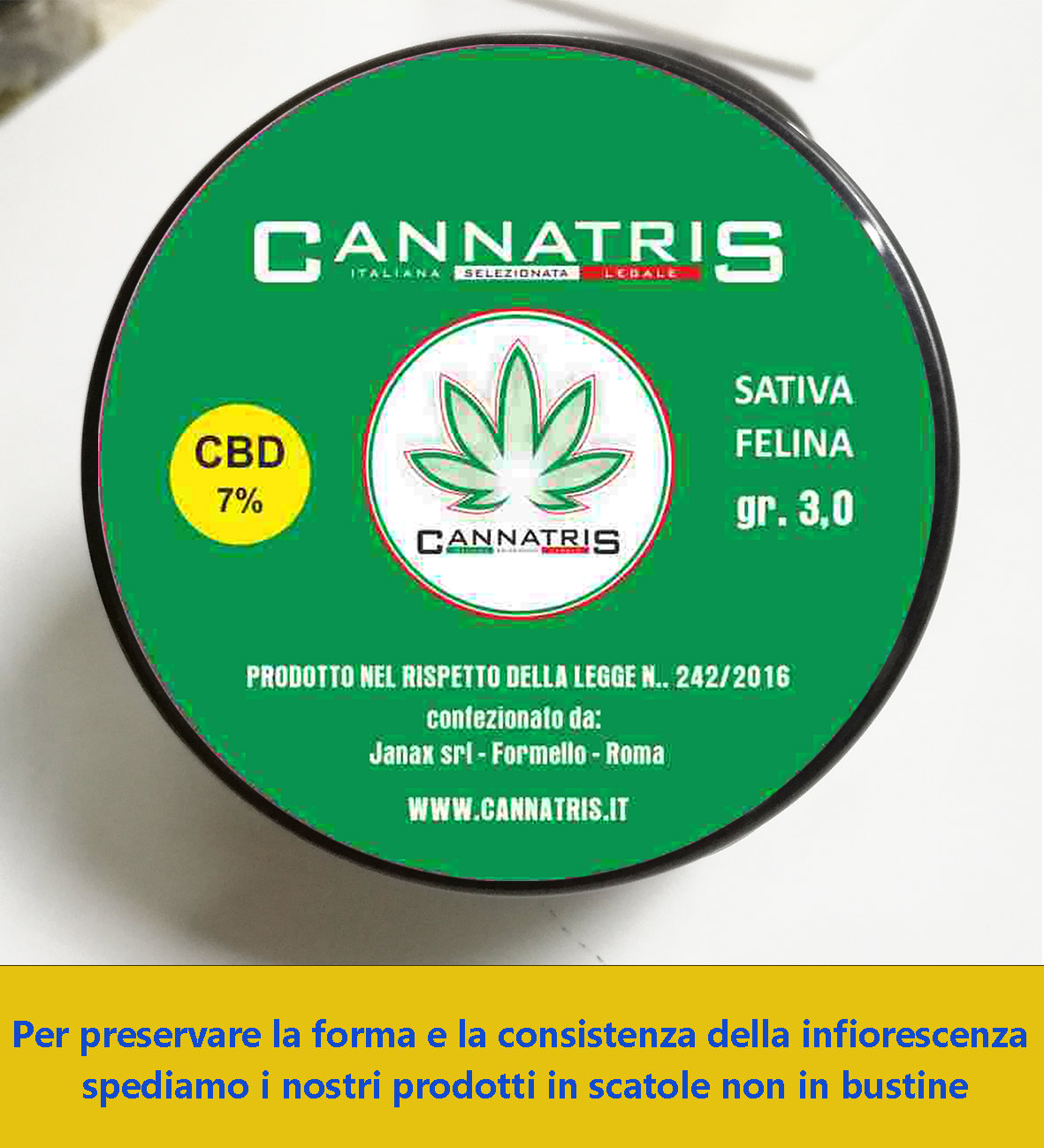 TAPPOverde_(FILEminimizer)